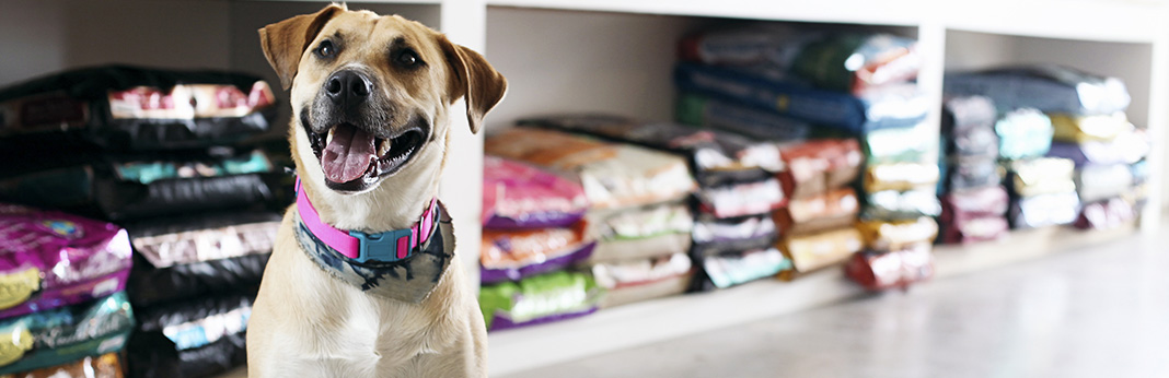 How-to-Read-Dog-Food-Labels