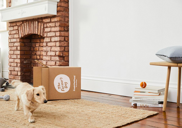 dog in the apartment next to the farmer's dog box