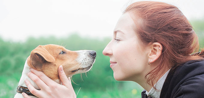 fille jouant avec un chien à l'extérieur.