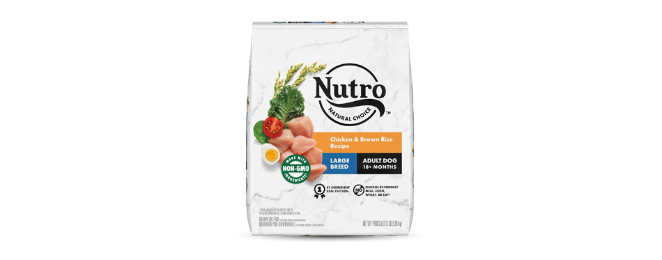 Best for Large Breeds: Nutro Natural Choice Large Breed Adult Dry Food