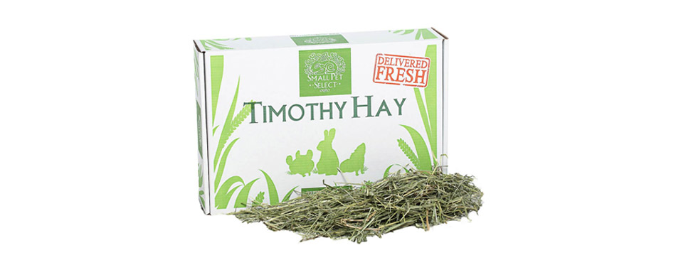 Small Pet Select 2nd Cutting Perfect Blend Timothy Hay