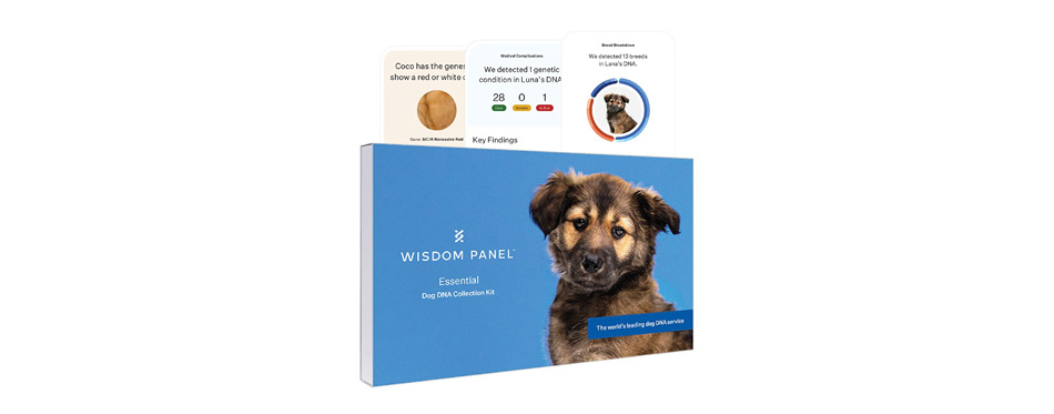 Wisdom Panel Essential Breed Identification DNA Test for Dogs