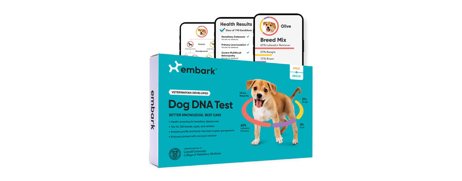 Embark Breed Identification & Health Condition Identification DNA Test for Dogs