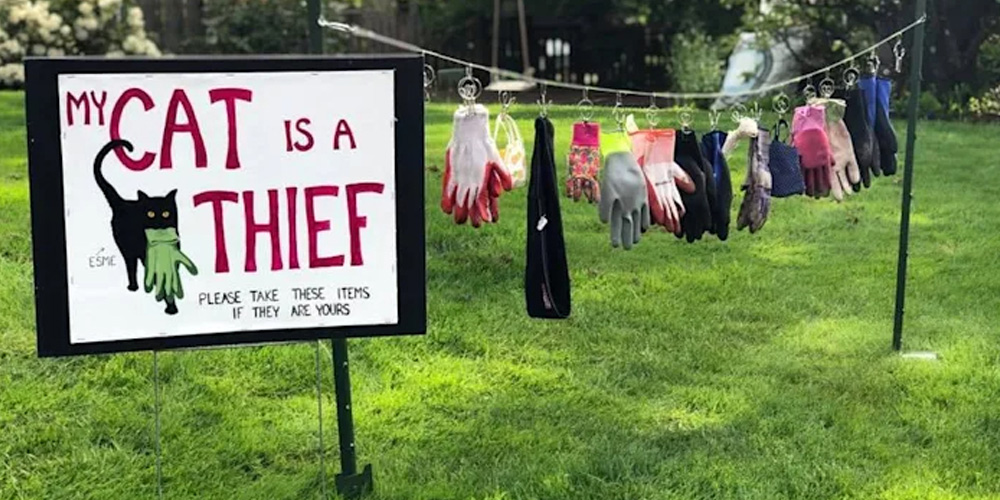 Humorous Lawn Display Outs Thieving Cat to The Neighbors