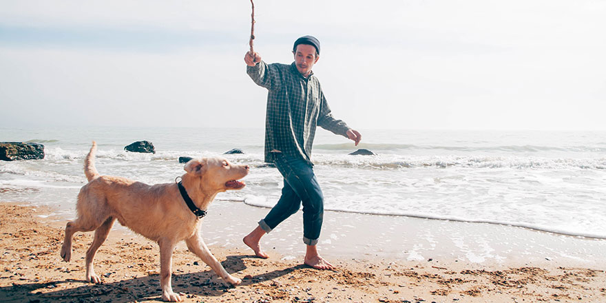 man walking with labrador dog on beach