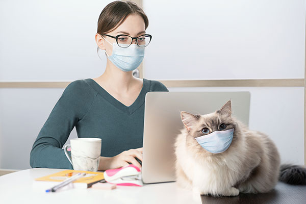 A young woman in a medical mask works on a laptop at home office and her cat in a medical mask sitting next to a laptop