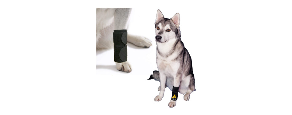 AGON Dog Canine Front Leg Brace 