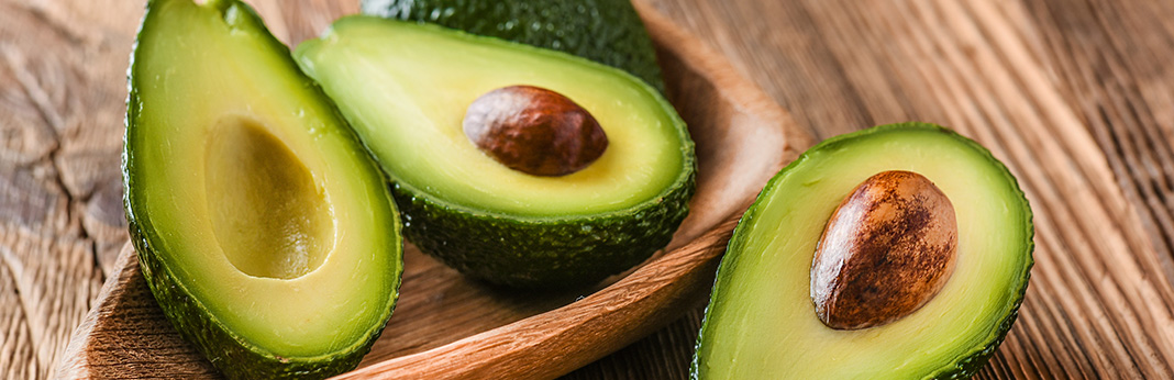 Can Dogs Eat Avocado?