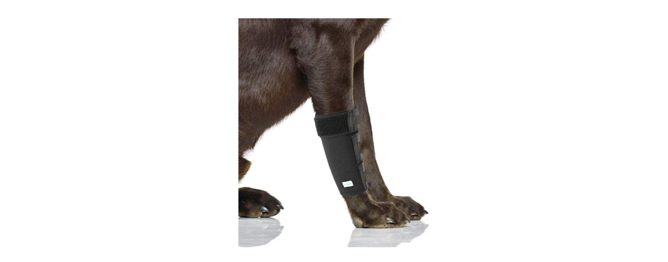 IN HAND Dog Leg Brace