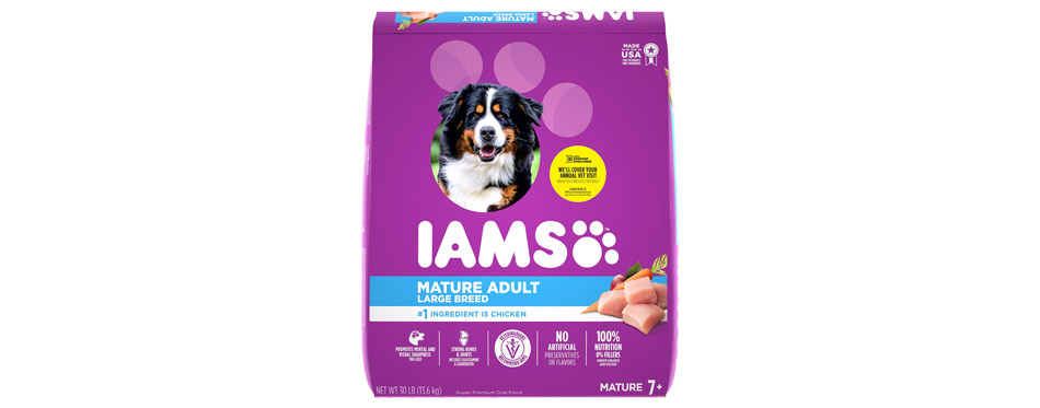 Best for Large Breeds: Iams Mature Adult Large Breed Dry Dog Food