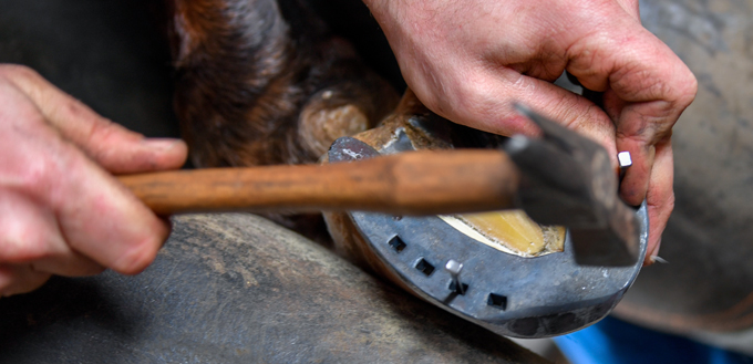 fixing horse shoe