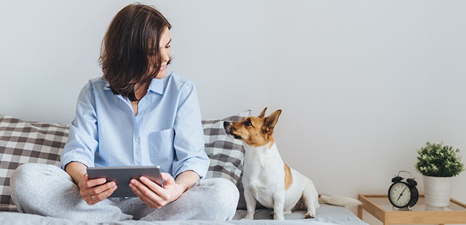 Beautiful brunette female in pyjamas sits on bed in bedroom with her jack russell terrier dog, holds tablet computer, enjoys morning weekend, watches video online, has good relationships with pet