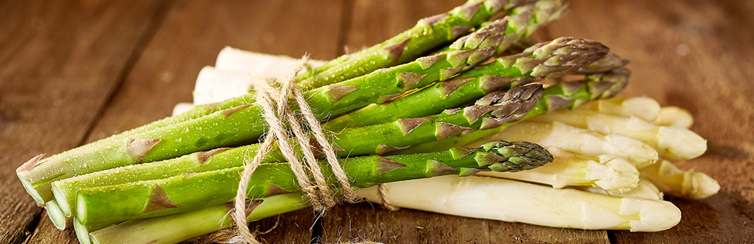 Can Dogs Eat Asparagus