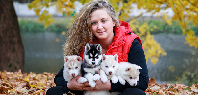 Dog breeder with his pets in an autumn park