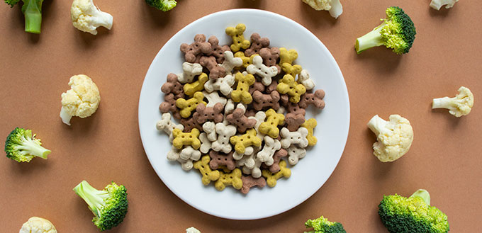 Dog dry crunchies in form of bone on white plate.