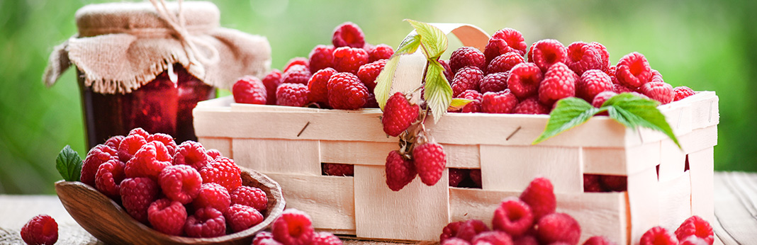 Juicy-Fruit-Can-Dogs-Eat-Raspberries