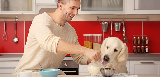 Man and dog enjoying breakfast at the kitchen