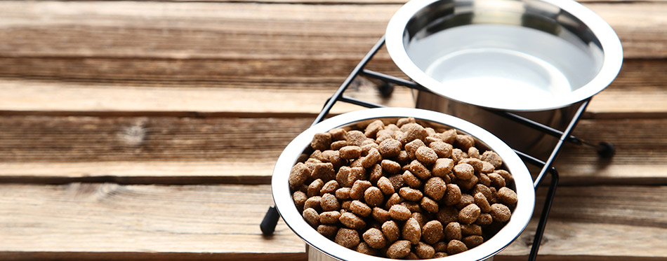 food and water in bowls on wooden table