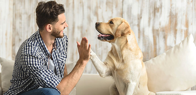 happy guy sitting on a sofa and looking at dog