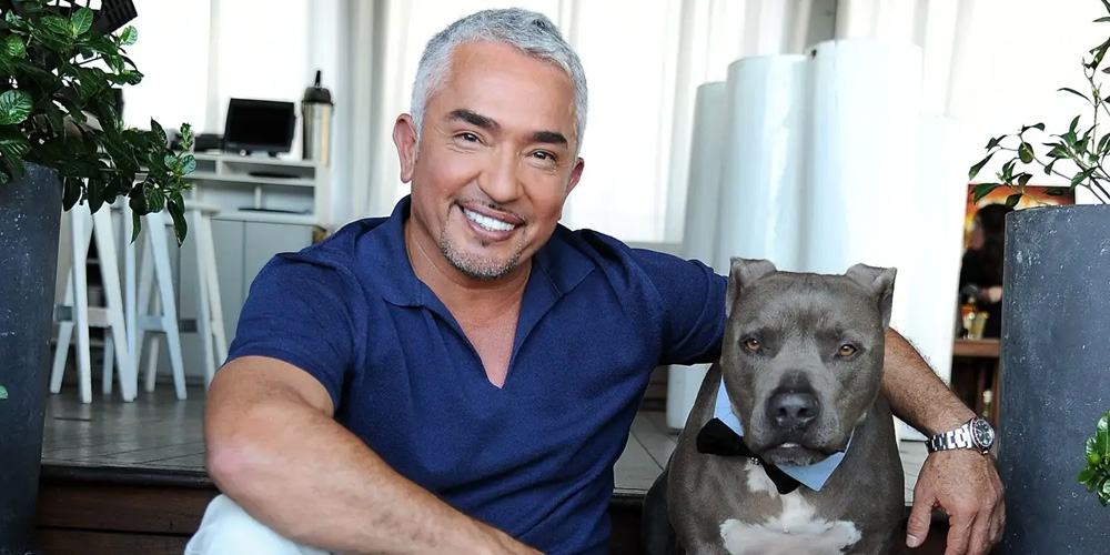 Cesar Millan in the Doghouse After Allegedly Covering Up Dog’s Aggressive History