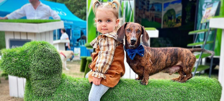 Dachshund brindle dog with the little girl 
