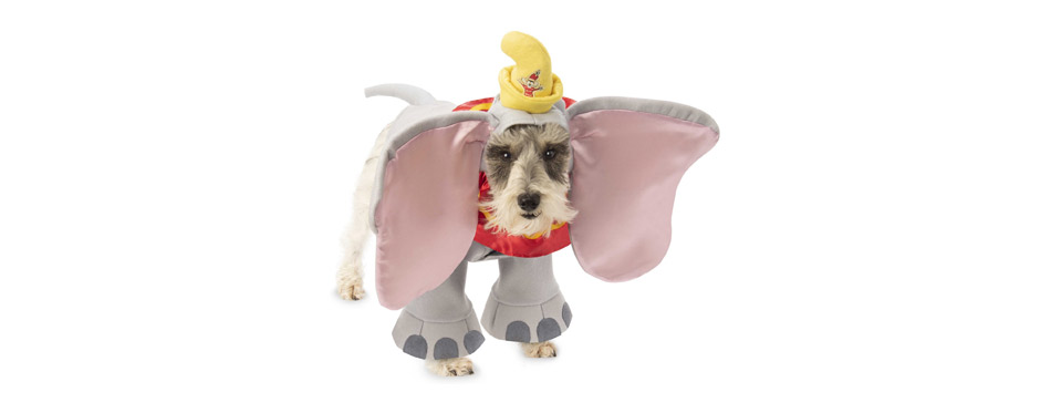 Best Funny Halloween Costume: Rubie's Costume Company Dumbo