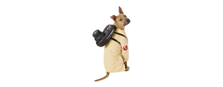 Best Ghostbuster Costume: Rubie's Costume Company Ghostbuster Jumpsuit