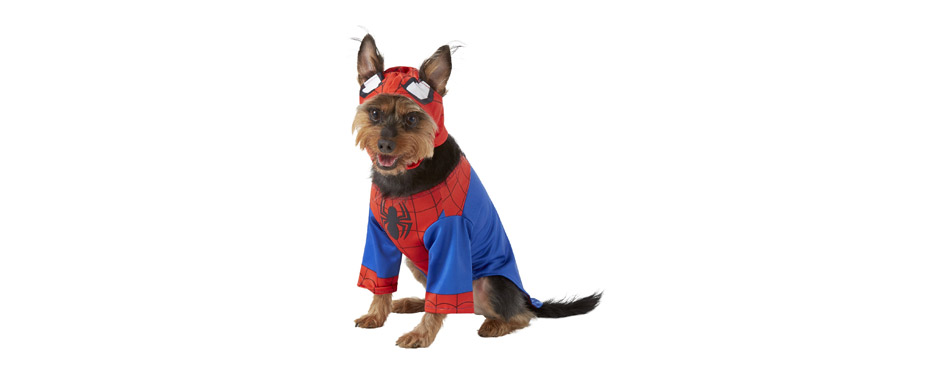 Best Spiderman Costume: Rubie's Costume Company Spider Man