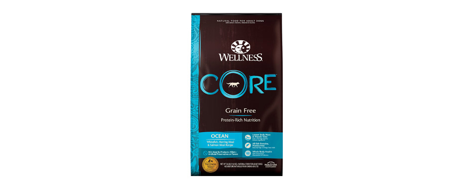 Best Grain-Free: Wellness CORE Ocean Whitefish, Herring & Salmon Recipe