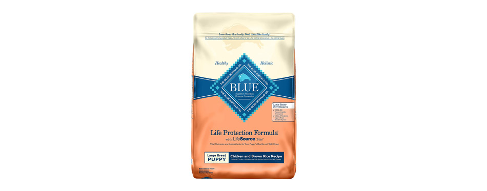 Best Overall: Blue Buffalo Life Protection Formula