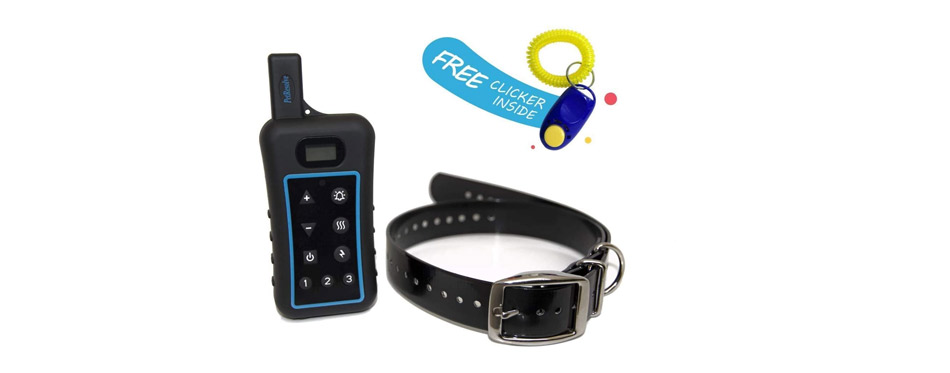 Dog Training Collar with Remote