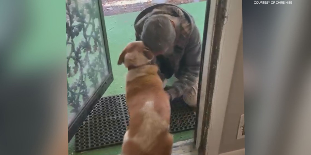Indianapolis Man Reunited With His Dog Thanks To The Power of Social Media