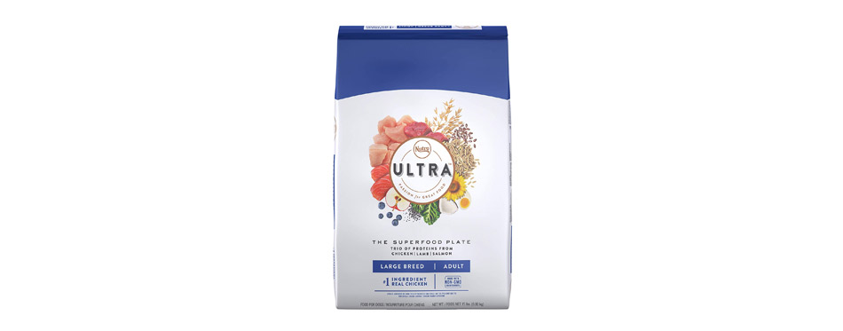 Budget Pick: Nutro Ultra Large Breed Adult Dry Dog Food