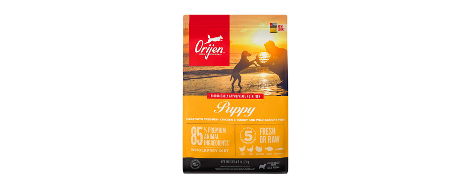 Best Puppy Food: ORIJEN Puppy Grain-Free Dry Food
