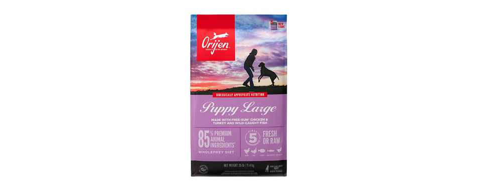 ORIJEN Puppy Large Dry Puppy Food