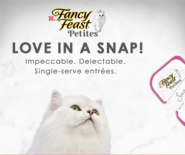 Overview-of-Nestle-Fancy-Feast-Petites