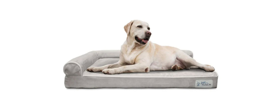 PetFusion BetterLounge Dog Bed