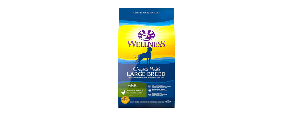 Best for Large Breeds: Wellness Complete Health Large Breed Dry Dog Food 