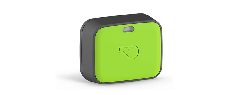 Best for Adventurers: Whistle Go Explore Dog GPS Tracker