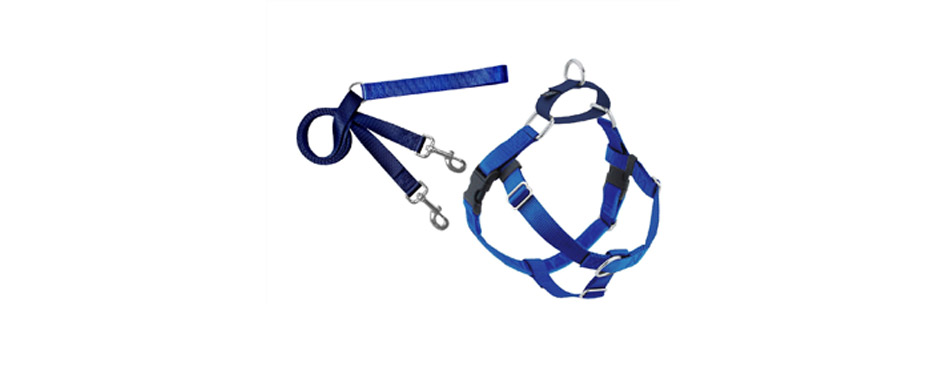 2 Hounds Design Freedom Harness & Leash