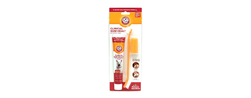 Arm & Hammer Dental Clinical Gum Health Dog Toothpaste & Brush Kit