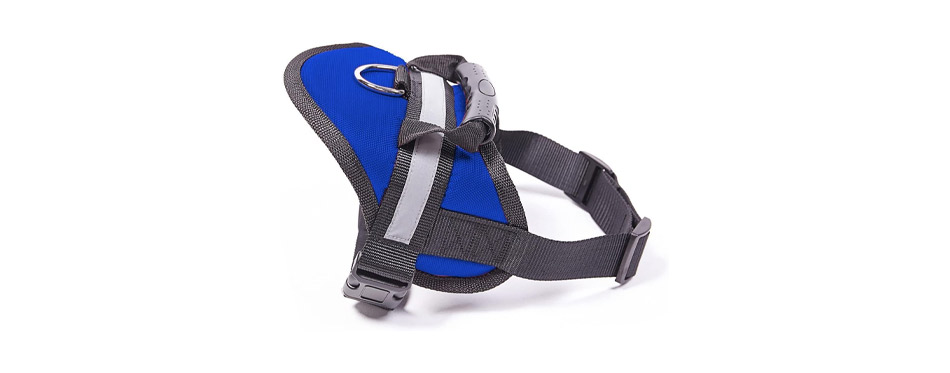 Best For Large Dogs: EXPAWLORER Big Dog Soft Reflective No Pull Harness
