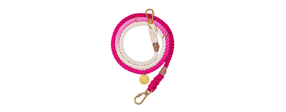 Best for Stylish Pet Owner: Found My Animal Adjustable Ombre Rope Dog Leash