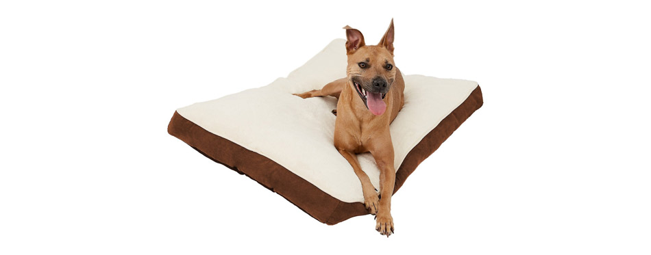 Frisco Pillow Dog Bed
