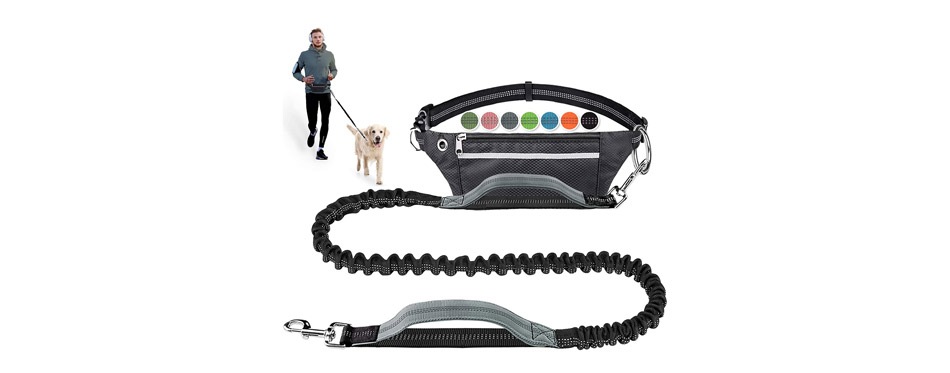 LANNEY Hands Free Dog Leash