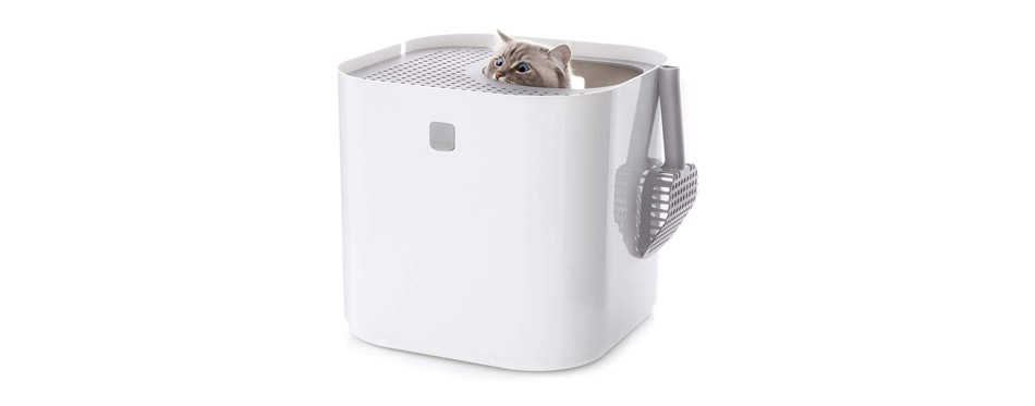 Best Top-Entry: Modkat Litter Box