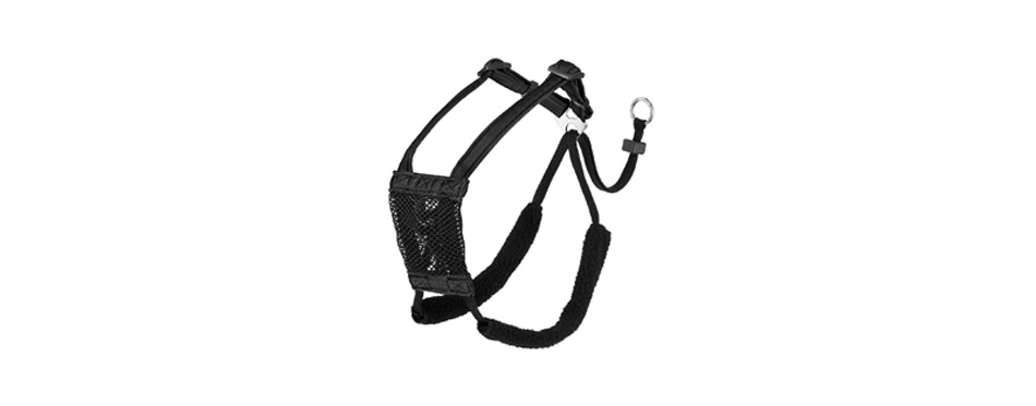 Best for Puppies: PetSafe Easy Walk Dog Harness