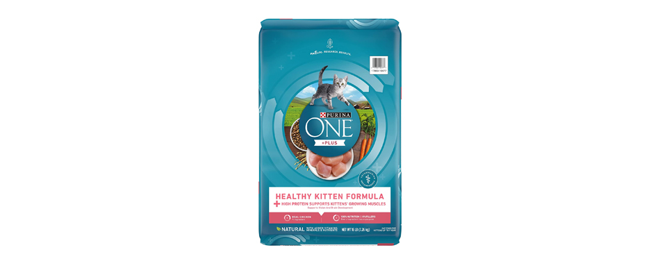 Purina ONE Healthy Kitten Formula