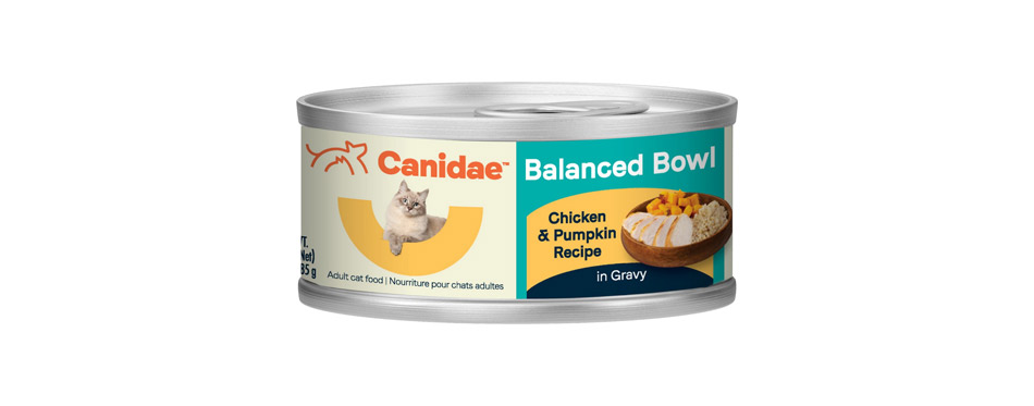 CANIDAE Balanced Bowl Chicken & Pumpkin in Gravy 