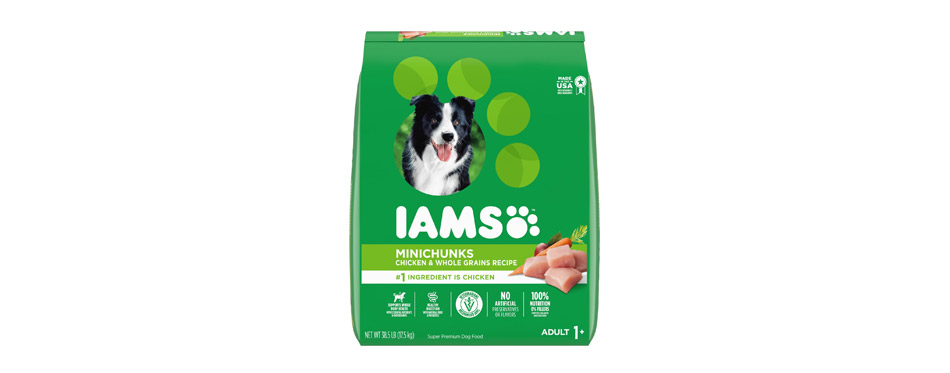 Best High Protein Food: IAMS Adult MiniChunks Small Kibble High Protein Dry Dog Food 